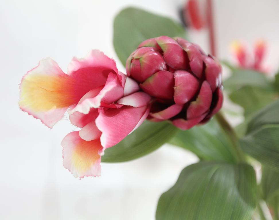 Gingerflower Boutique Hotel Malacca Екстериор снимка